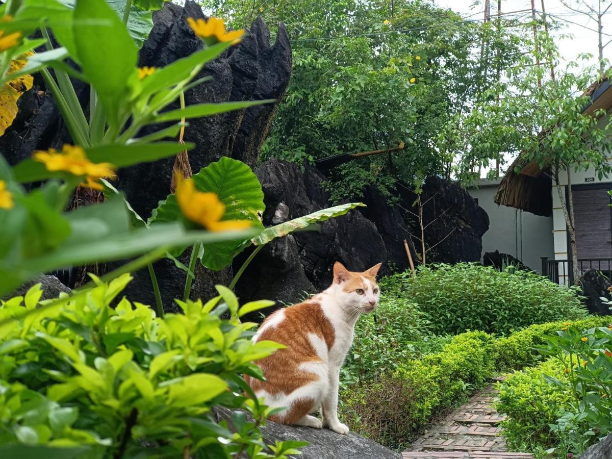 Wings Ha Giang Loop Bungalow 外观 照片